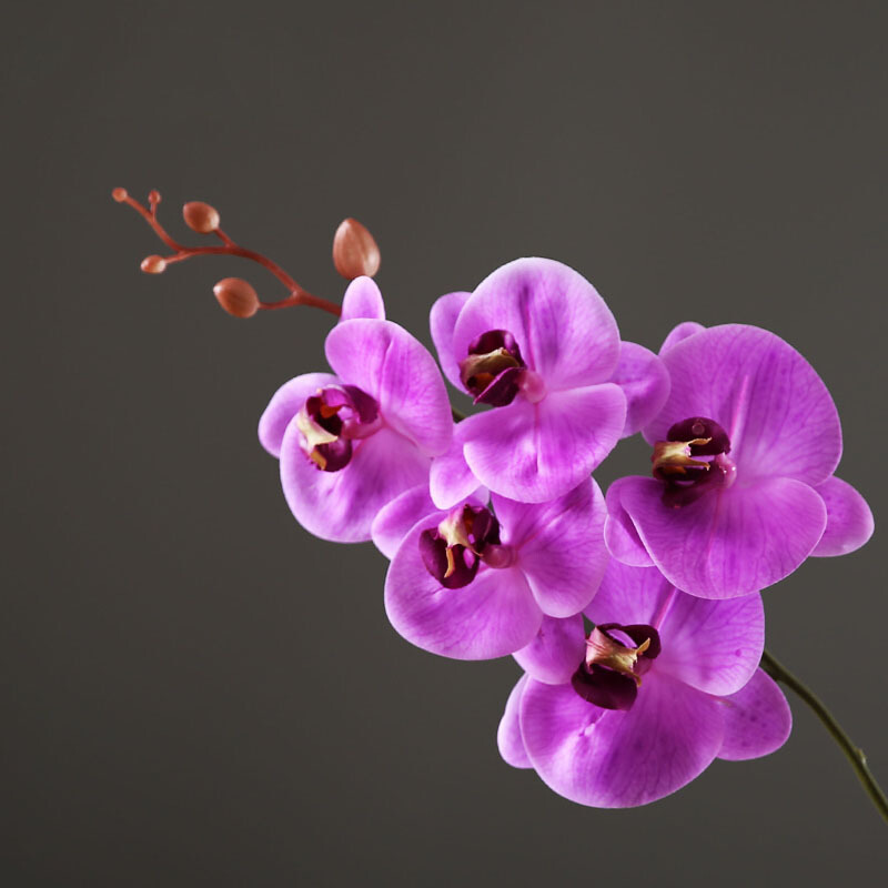 花瓶插花蝴蝶兰仿真花客厅餐厅桌面花艺摆设家居装饰品紫色