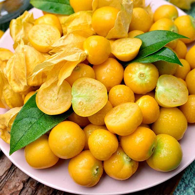 新鲜姑娘果 东北特产 菇娘果 灯笼果 2斤新鲜水果