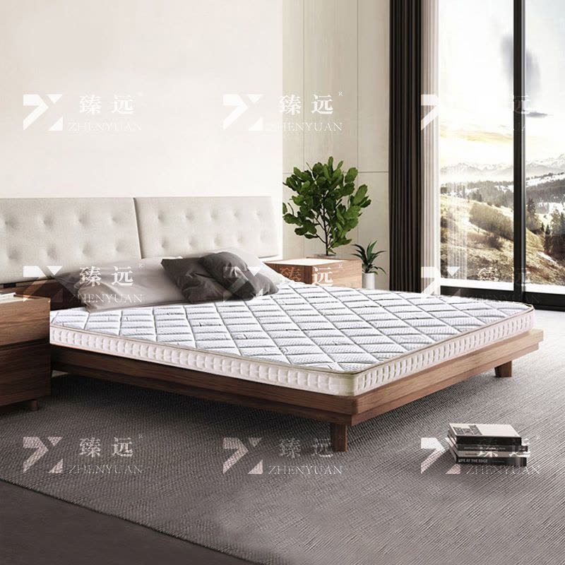臻远 ZY3120207 棕垫护脊3E椰棕床垫1500*2000图片