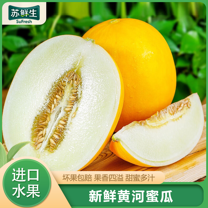 [苏鲜生]云南黄河蜜瓜 白肉蜜瓜 7-8斤装 2-3斤/个 香甜可口 新鲜水果应季