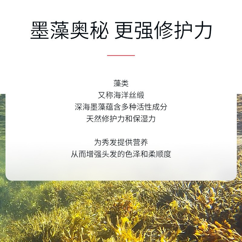 b2v墨藻护色修护洗发水520ml高清大图