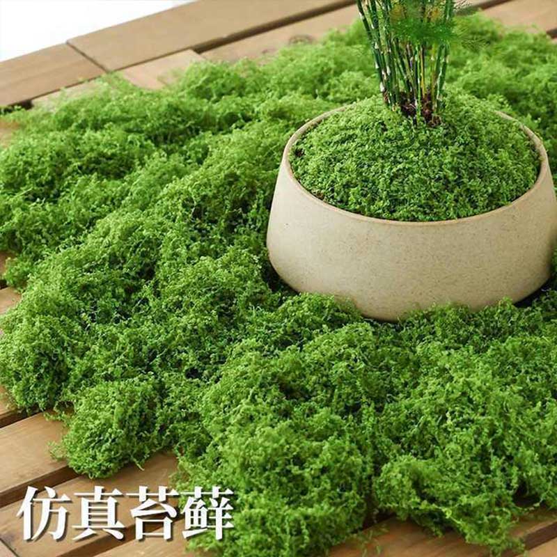 环孤 仿真苔藓装饰植物 浅绿色 500g高清大图