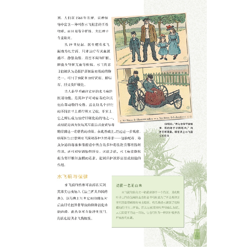 正版新书]药用植物(法)塞尔日·沙著9787108070524高清大图