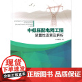 中低压配电网工程装置性违章及解违