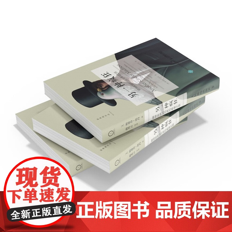 另一种疯狂 精神疾病的污名与希望之旅 斯蒂芬·欣肖 著 心理学高清大图