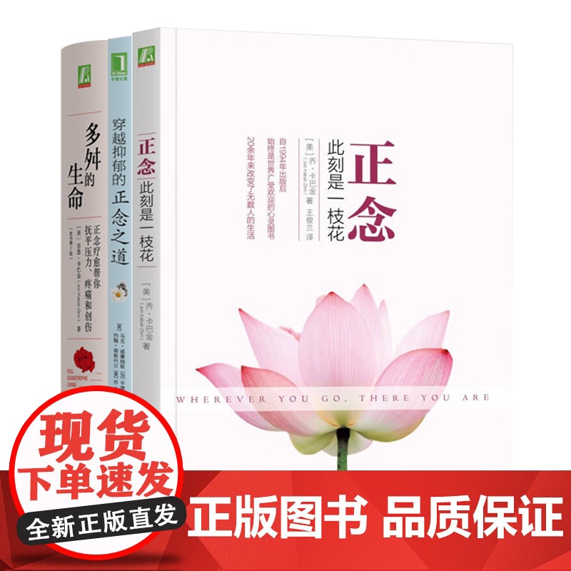 套装 正版 卡巴金心理学作品集套装全3册 正念 此刻是一枝花+多舛的生命+穿越抑郁的正念之道 正念减压心灵疗愈心理学高清大图