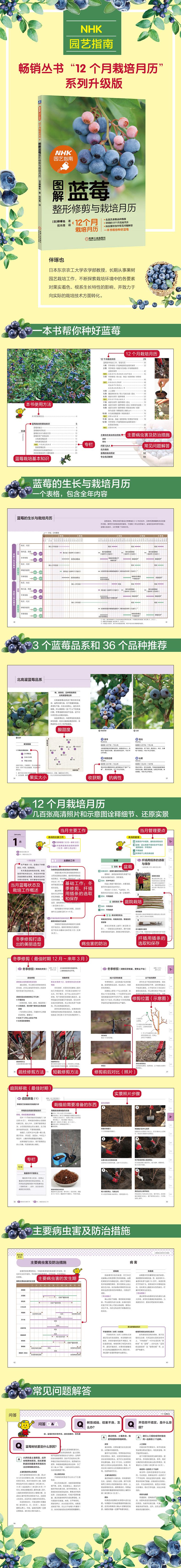 图解蓝莓整形修剪与栽培月历/NHK园艺指南"12个月栽培月历"系列升级版