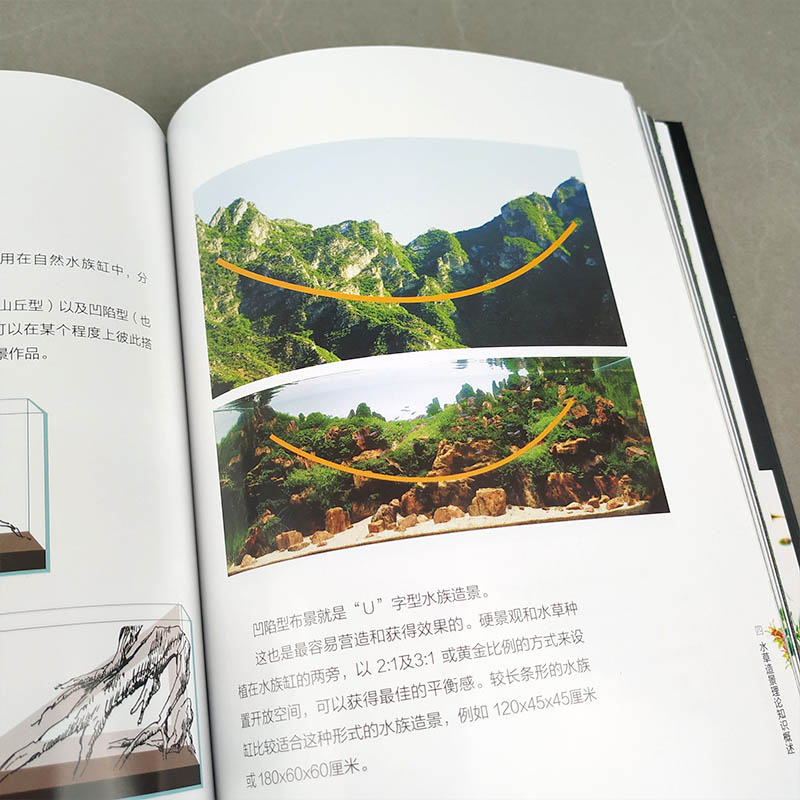 [正版]3册方寸之间雨林世界热带雨林景观设计水草造景艺术从入门到精通我的一本雨林缸造景书生态缸造景详解介绍雨林缸造景制作高清大图