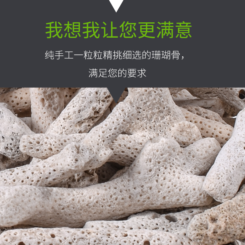 珊瑚骨珊瑚砂水族造景珊瑚石过滤材料PH调剂鱼池过滤滤材碱性滤材高清大图