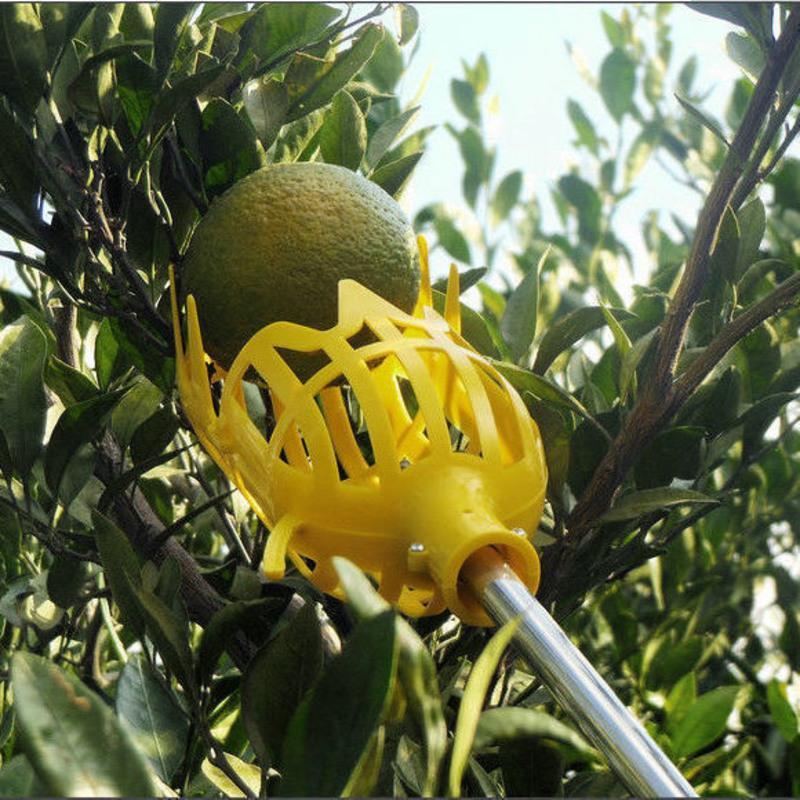 高空摘果器可伸缩杆采摘器摘杨梅神器采枇杷樱桃李子水果工具一个摘果