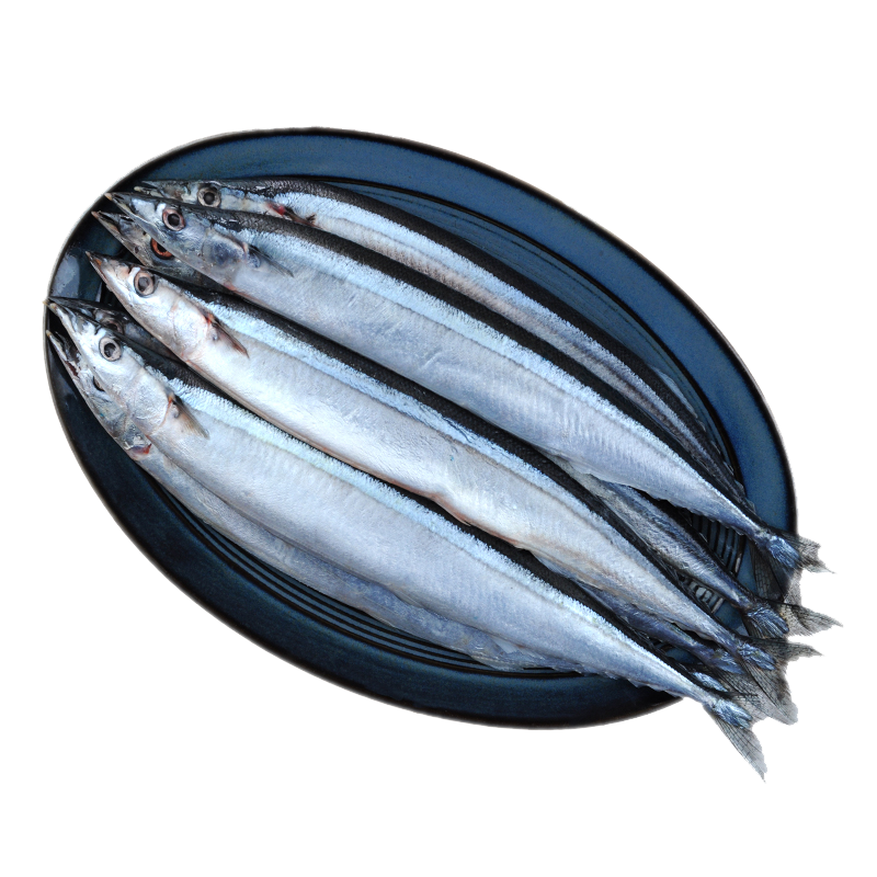 纯色本味 冷冻俄罗斯精品秋刀鱼 烧烤食材 500g/袋 (4-5条) 海鲜水产