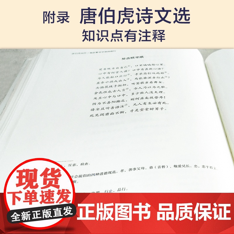 唐伯虎画传:他在繁华中独自前行(精装彩色插图)一个真正的异类 一部为历史翻案的著作高清大图