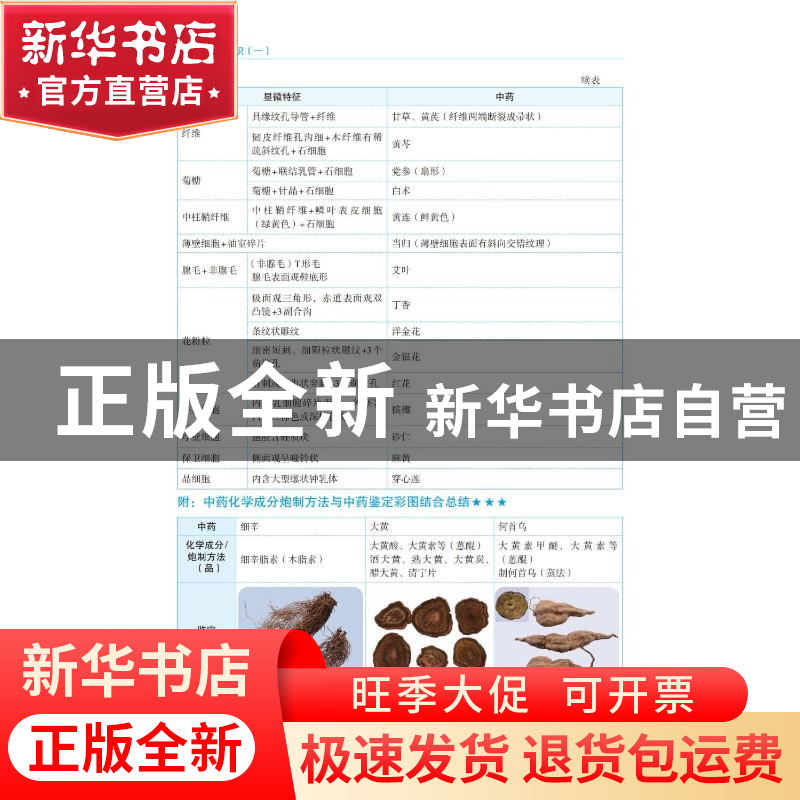 正版 中药学专业知识:一 胡志强 中国医药科技出版社 97875214360高清大图