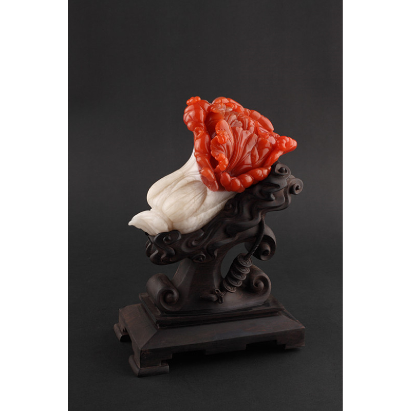 正版新书]南红·玛瑙北京台财富故事栏目组9787513633017高清大图