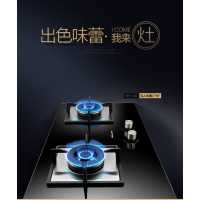 万和燃气灶B9-L10Z(12T)