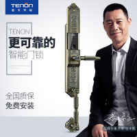 亚太天能(TENON)智能安防指纹锁 锌合金家用指纹密码锁电子门锁 F5b 红古铜