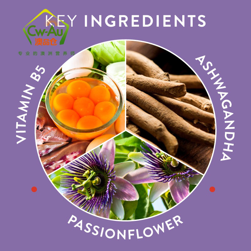 Swisse 镇静安眠软糖 60粒 1瓶装 sleep植物精华安睡压力失眠无褪黑素 澳洲进口高清大图