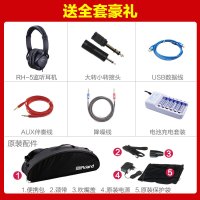Roland/罗兰 AE-10 电吹管 电萨克斯 SAX 自带音源扬声器
