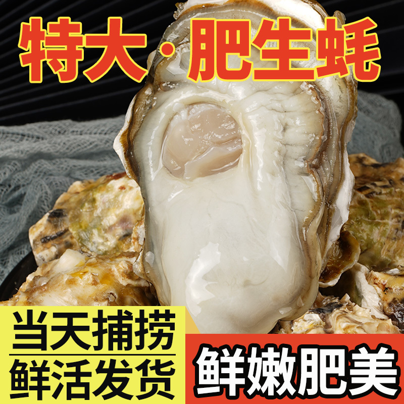 蚝范儿乳山生蚝3-4鲜活5斤牡蛎活鲜海蛎子带箱新鲜海鲜