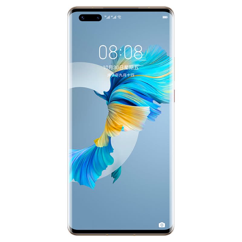 华为/HUAWEI Mate40 Pro 5G 8GB+128GB 荒野黑 麒麟9000 SoC芯片 超感知徕卡电影影像 有线无线双超级快充 全网通手机图片