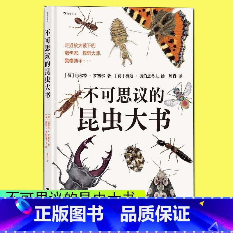 不可思议的昆虫大书 [正版]浪花朵朵浪花朵朵 不可思议的昆虫大书 8岁以上超精细手绘图达尔文生物科学观察自然科普书籍图片