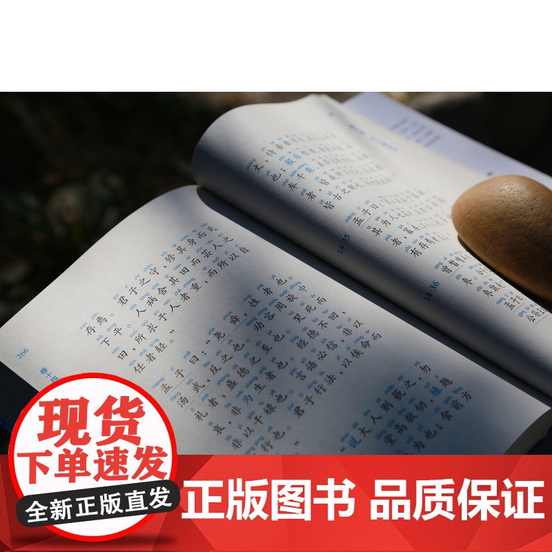 孟子正音诵读本鲍鹏山衣抚生编校中国青年出版社中华传统文化经典诵读系列国学经典高清大图