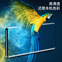 可波 三星s20手机膜note20ultra蓝光膜s20+防偷窥膜s10plus磨砂膜全屏覆盖软膜s10+高清钢化膜防摔