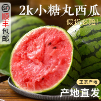 顺丰快递[熊猫鸟]现摘2k小糖丸西瓜 净重8.5-9斤 2个装 新鲜网红小糖丸蜜瓜脆甜整箱