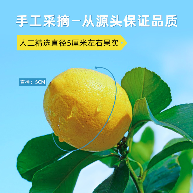 洪晟翔冻干柠檬片100g