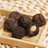 一品爽 珍珠菇100g/罐 金钱菇珍珠菇 南北干货 肉厚味鲜新货南北干货