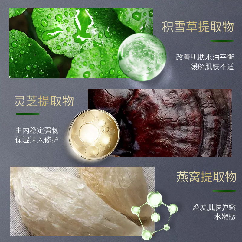 DEOLD/递欧积雪草灵芝沁润精华乳+柔肤水 调节肌肤水油平衡