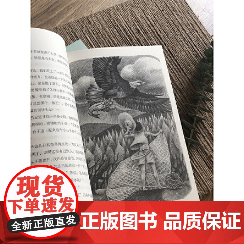 寻找鱼王二版张炜茅盾文学奖得主作品 荣获“中国好书”大奖 儿童文学作品写了一个富有中华传统文化价值的传奇故事小学生课外阅高清大图