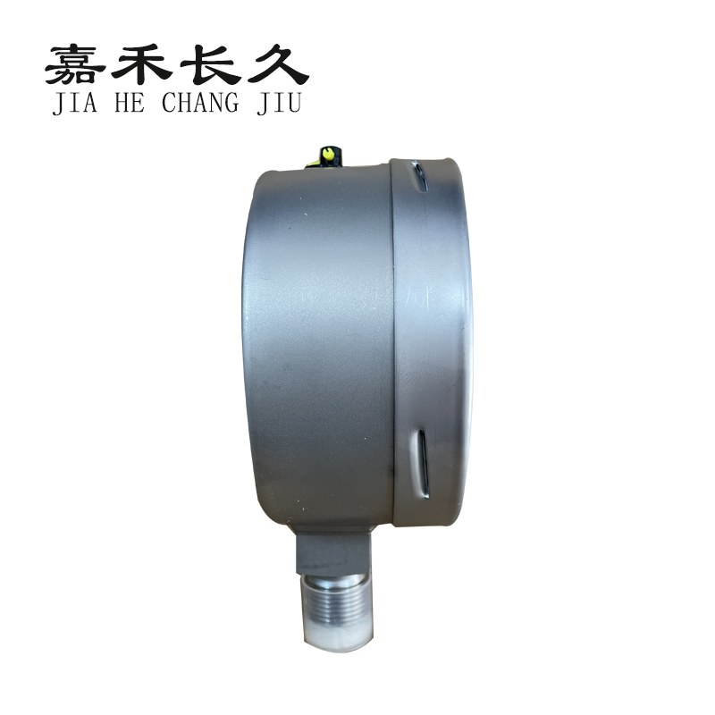 嘉禾长久 不锈钢耐温压力表检测型 Y100BF 块高清大图