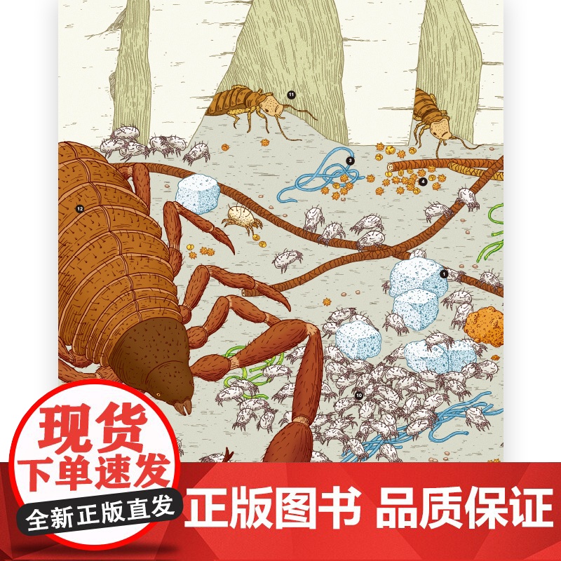微观世界 谜一样的小生命 3-12岁 儿童科普百科 手绘大场景 科普图画书高清大图