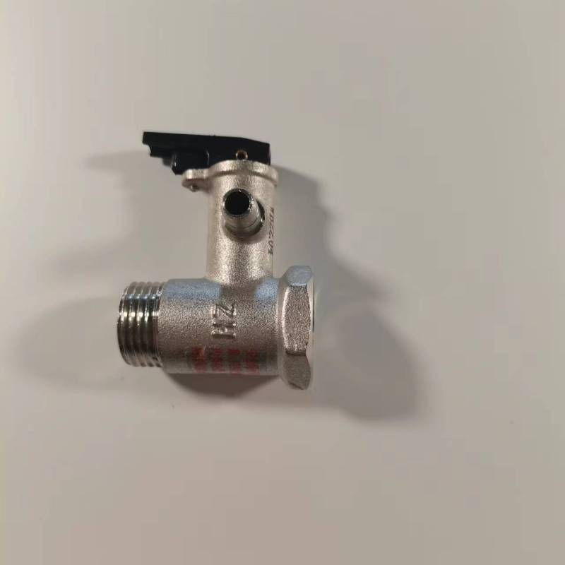 帮客材配 全新原装惠而浦电热水器ESH- 6.0MHU安全阀 泄压阀0.75MP收前务必验货图片