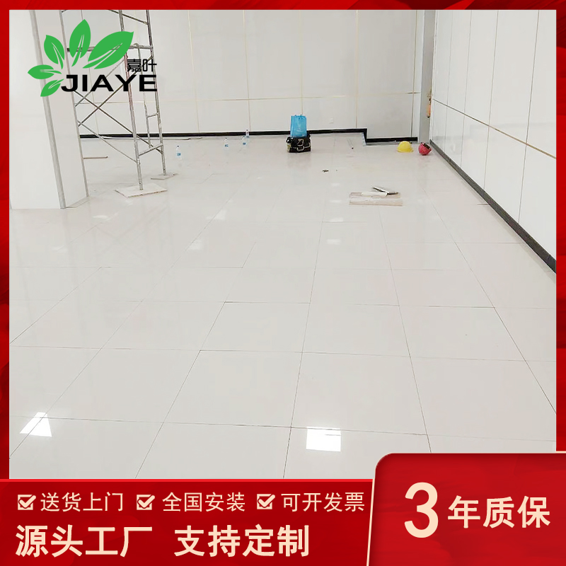 嘉叶JY-D480陶瓷面全钢防静电地板E1级高清大图