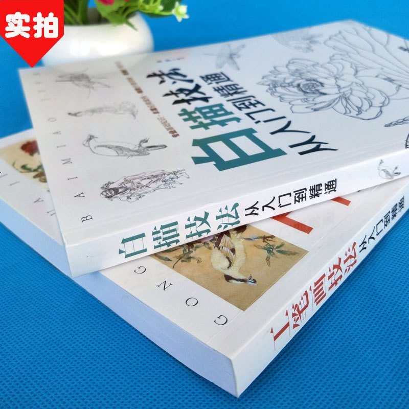 2册正版 白描技法从入到精通+工笔画技法从入到精通 零基础学水墨中国画教程写意花卉草虫 国画入书美术绘画教