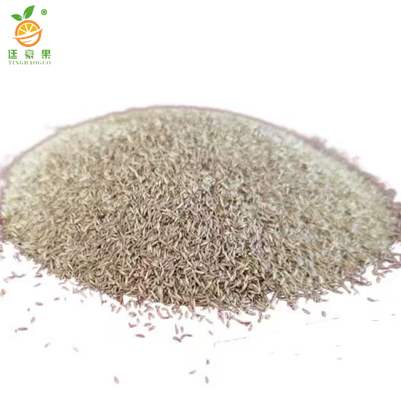 廷豪果 狗牙根草籽 耐热耐旱 绿化草坪种子 净籽 /千克高清大图