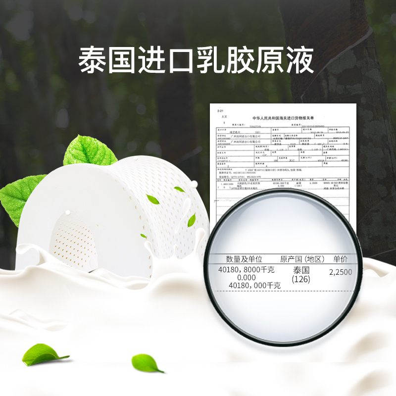Aisleep睡眠博士 椰梦系列 泰国天然乳胶枕人体工学款大号枕芯