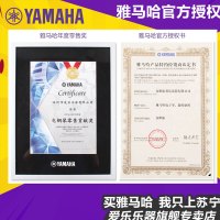 YAMAHA雅马哈电子琴PSRS670 S770 S775 S970 S975编曲工作站合成器psr-s650