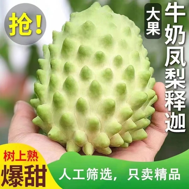 冠町 海南玫瑰释迦果5斤装单果180-230g 新鲜水果生鲜