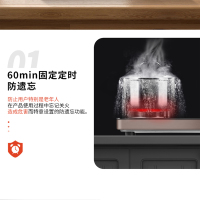 红日(RedSun)红外线燃气灶家用液化气煤气灶台智能定时双眼灶双炉灶双灶大火力节能灶ES009B