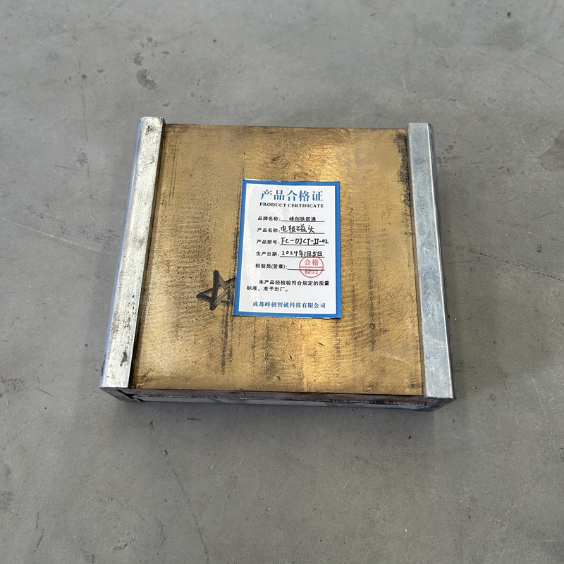 峰创铁诺通 电极磁头 FC-DJCT-JJ-02 个