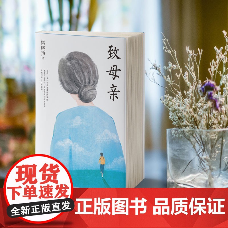 致母亲 梁晓声 著 文学高清大图