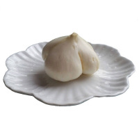 凉薯2.5kg 地梨 土瓜 沙葛 地萝卜 豆薯 新鲜 产发QQ