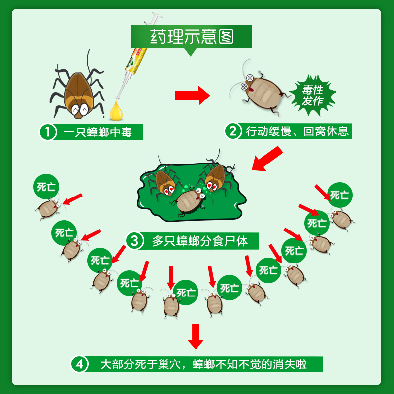 罗兰 LH 杀蟑螂胶饵 灭蟑螂药粉全窝端 家用驱除蟑螂屋贴粉克星杀虫剂 5g装