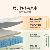 喜临门床垫旗舰店 21cm独袋弹簧黄麻棕榈 双人棕垫 简约现代主次卧家具 光年护脊2.0