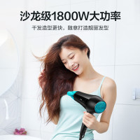 飞利浦(PHILIPS)电吹风机 家用大功率 恒温速干 发廊沙龙专业级吹风筒 恒温护发 BHC020/05