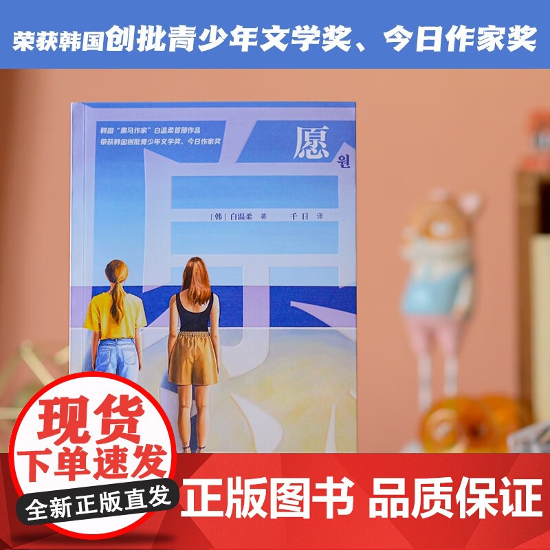 愿 白温柔 著 自我成长疗愈成长枷锁生活和解 小说高清大图