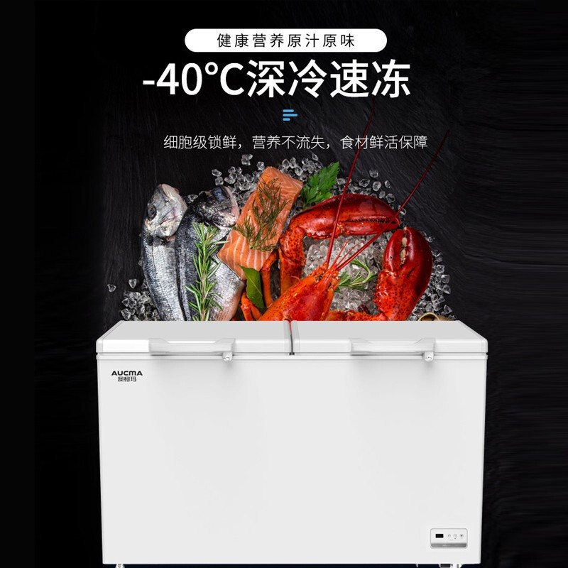澳柯玛(AUCMA)商用低温大冰柜卧式速冻冷柜大容量冷冻柜BC/BD-520SND 皓月白